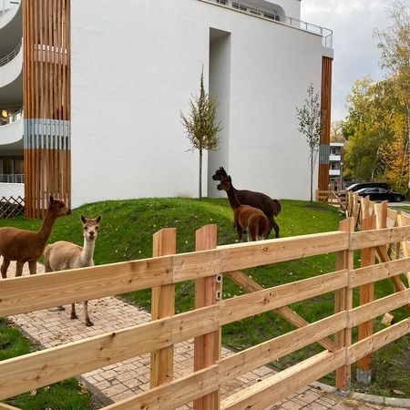 Wedellstraße 80 - 82, Berlin