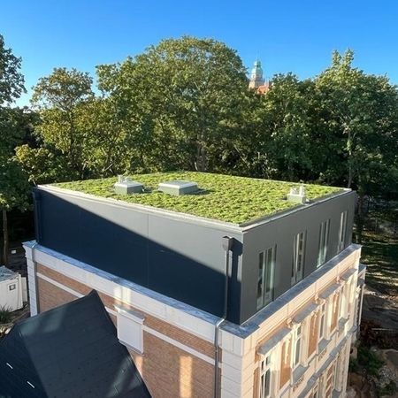 Am Maria Jankowski Park, Berlin | Referenz